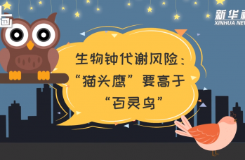 科画丨生物钟代谢风险：“猫头鹰”要高于“百灵鸟”