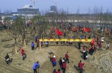 【视觉泰州】义务植树添新绿
